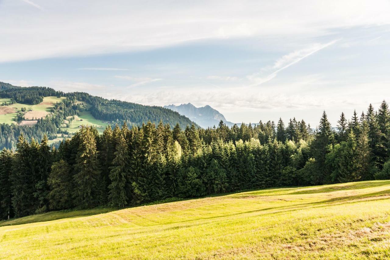 Berggasthof Staudachstub'N Кірхберг Екстер'єр фото